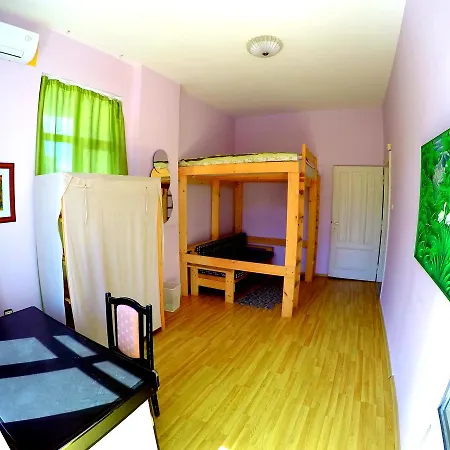 Funky Monkey بيت شباب بلوفديف